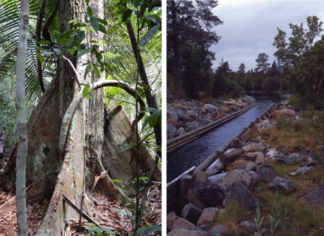 Huminstoffe Vergleich Amazonas Wald in Norwegen