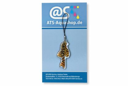 Key chain Peckoltia compta (L 134)